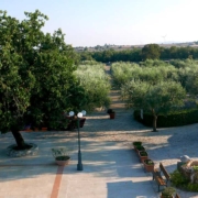 Panoramica con vista trullo Agriturismo Regno di Marzagaglia Gioia del Colle